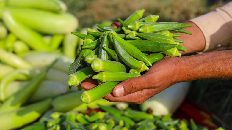 hand holding okras