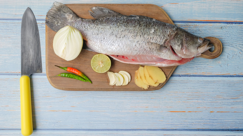 Barramundi fish and diced ingredients 