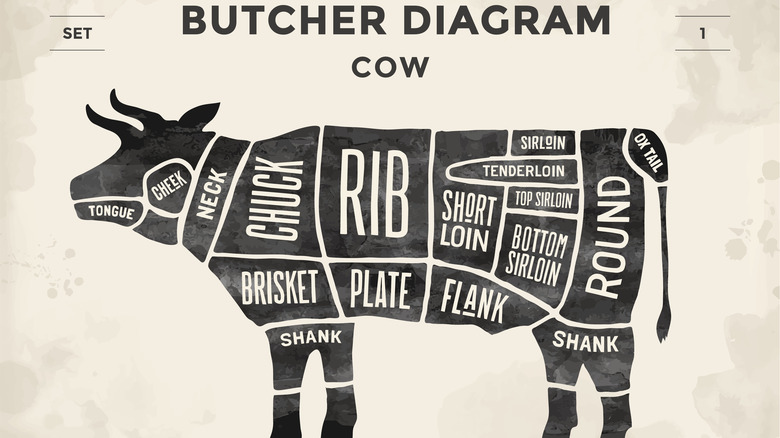 butcher's cow diagram