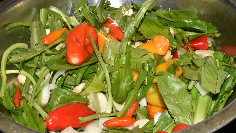 ingredients for Caribbean green seasoning