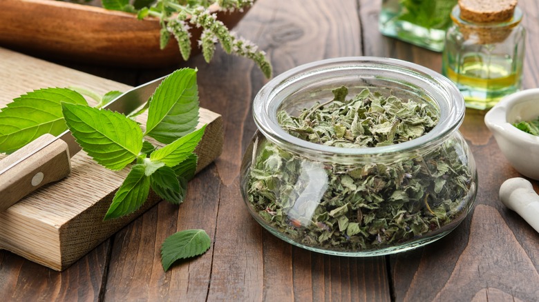 Dried and fresh mint leaves