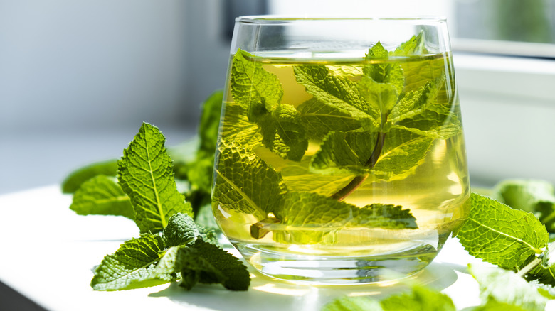 mint tea in glass cup