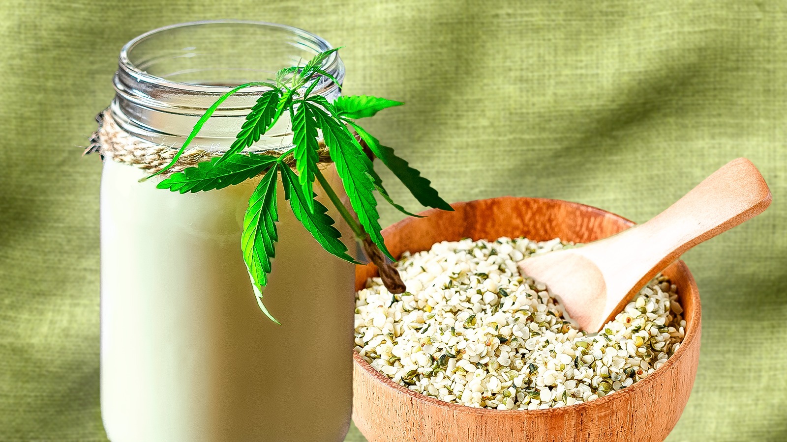 What Is Hemp Milk And What Does It Taste Like?