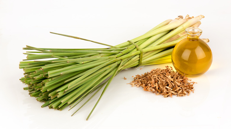 dried, fresh, and essential oil lemongrass