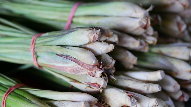 bunches of lemongrass