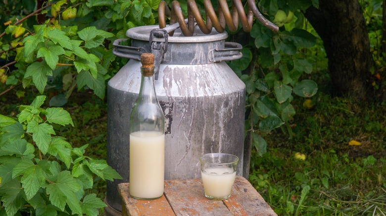 Outdoor still and bottle of moonshine