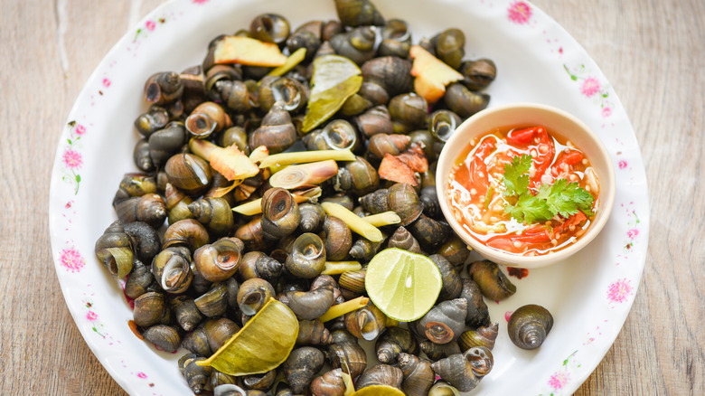 Sea winkles with chili sauce 