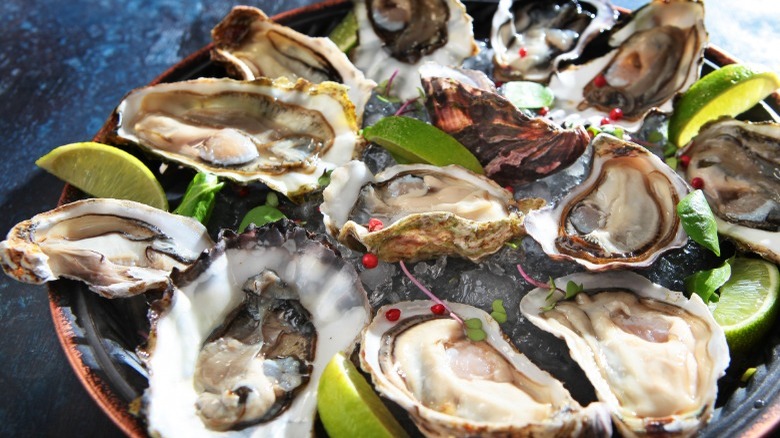 A plate of oysters