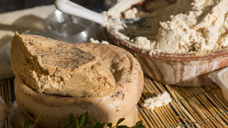 casu marzu illegal cheese