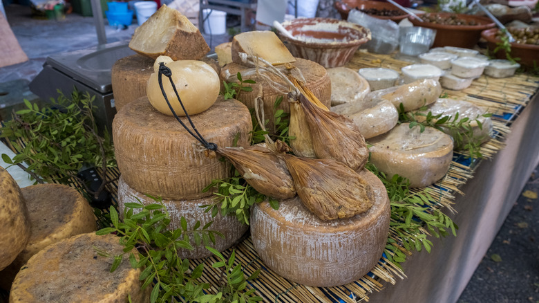 Casu Marzu display