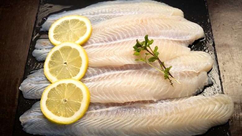 swai fillets arranged for baking