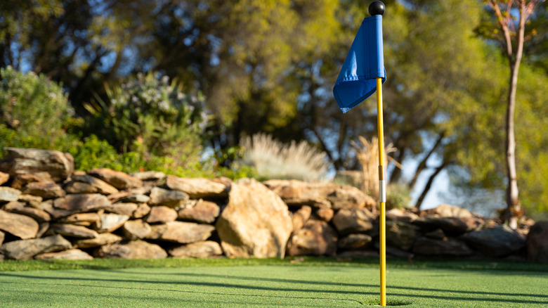 flag on mini golf course