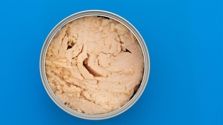 Open can of solid albacore tuna