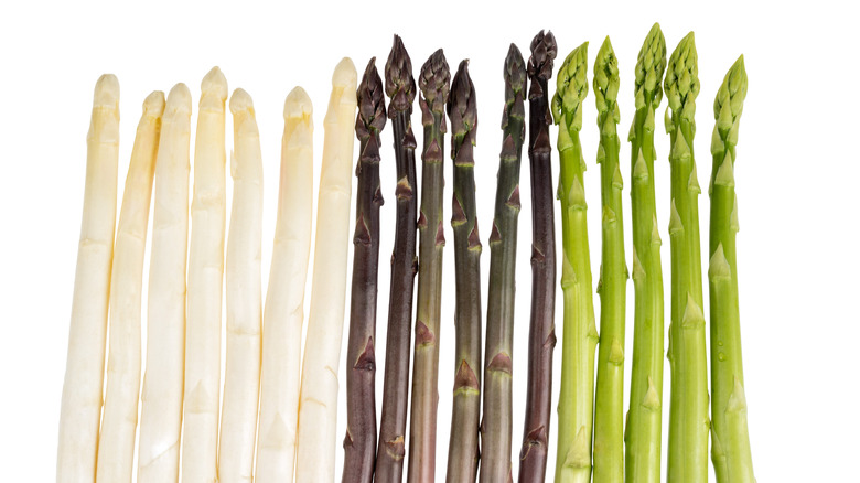 White, purple, and green asparagus stalks