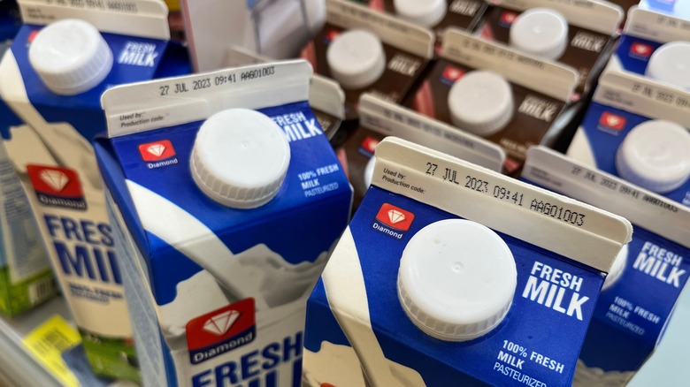 Multiple cartons of milk on shelf