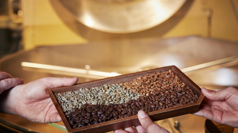 Different coffee beans on wood 