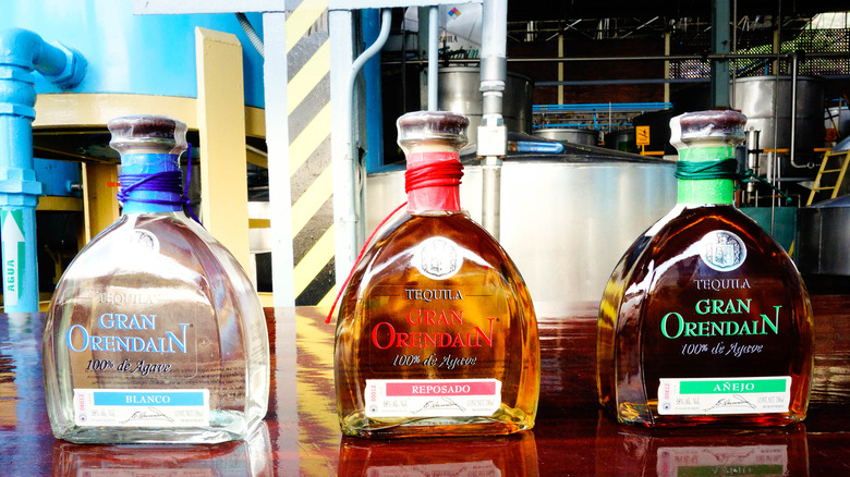 Orendain tequila at the distillery