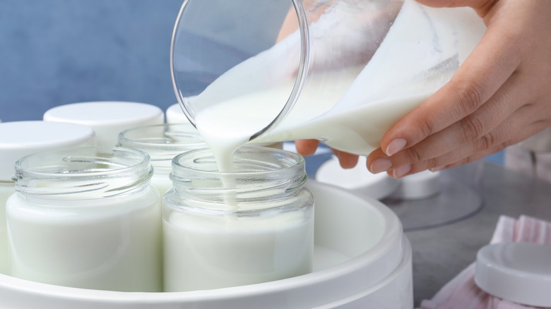 hands pouring yogurt mixture into jars