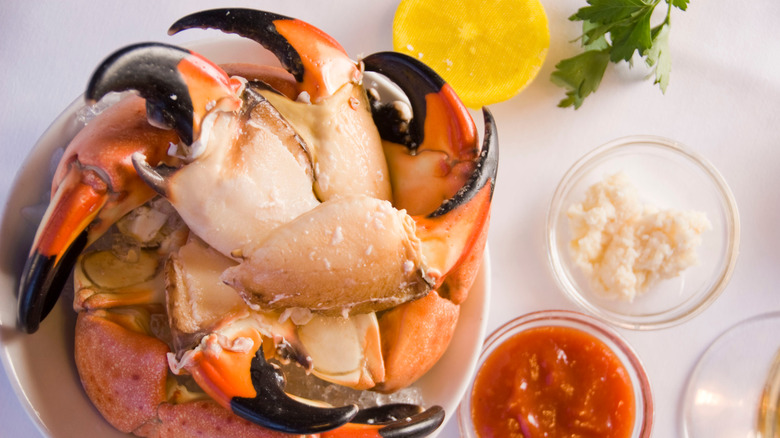 Stone crab claws on plate