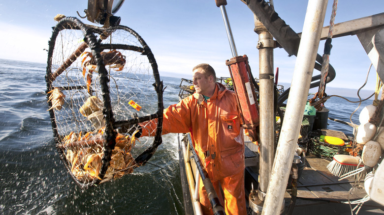 Crab fisherman and crab pot trap