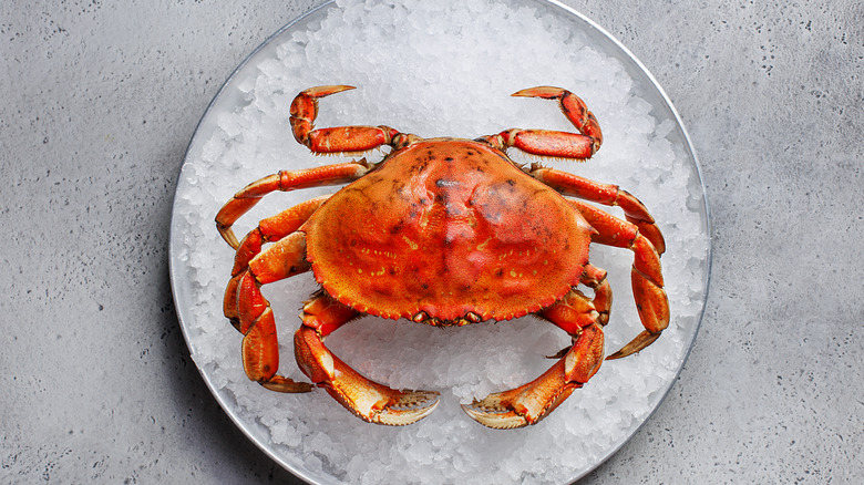 Boiled Dungeness crab on ice