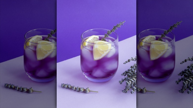 Empress butterfly pea gin cocktails 