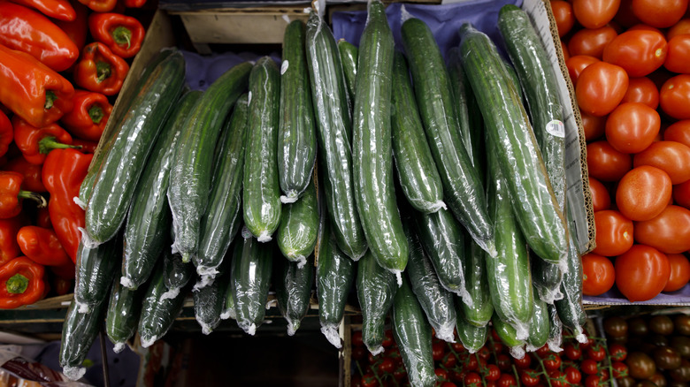 shrinkwrapped english cucumbers in grocery store