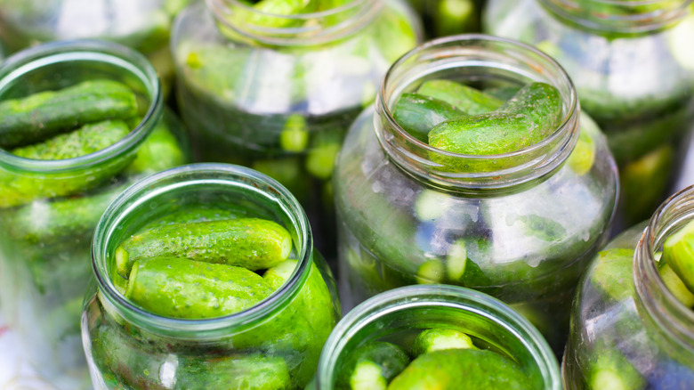 glass jars of cucumbers being pickled