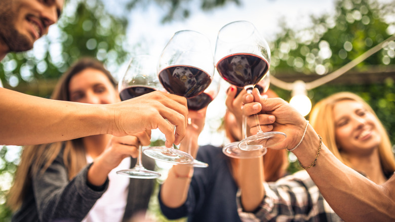 Smiling people toasting with red wine in an outdoor setting