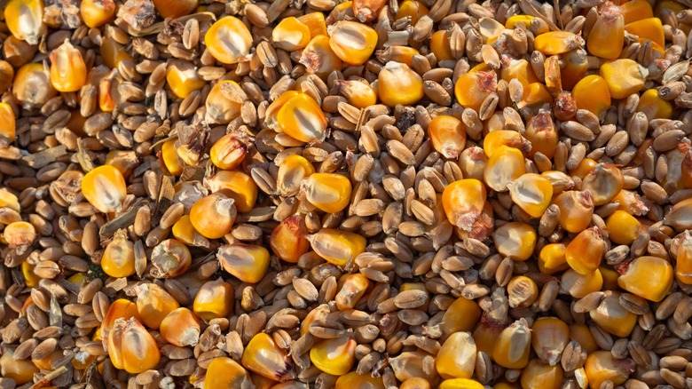 maslin grain pile mixing together