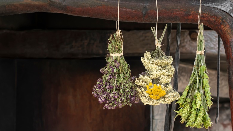 bundle of dried herbs