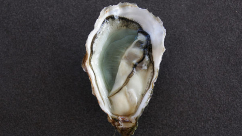 fine de claire verte oyster