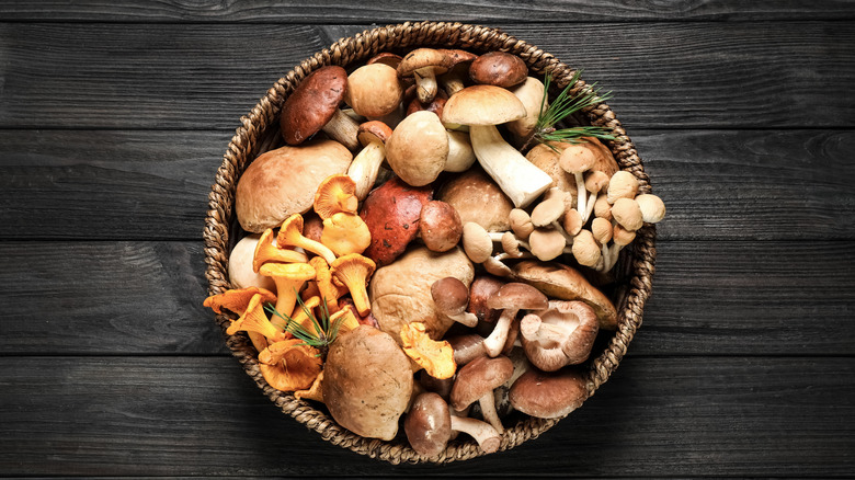 wild mushrooms in bowl