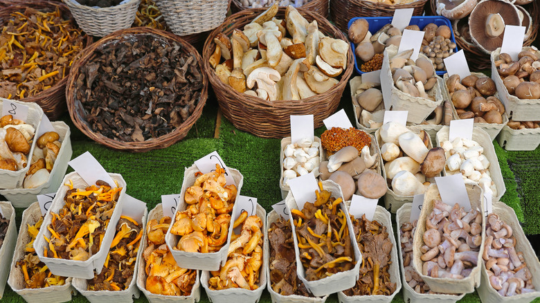 mushrooms at farmers market