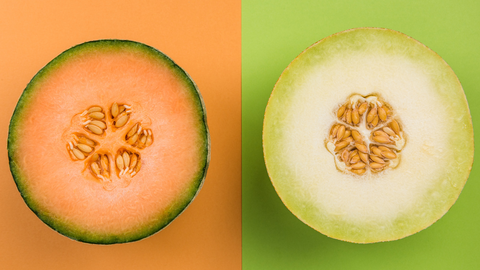 What Makes Honeydew Different From Cantaloupe
