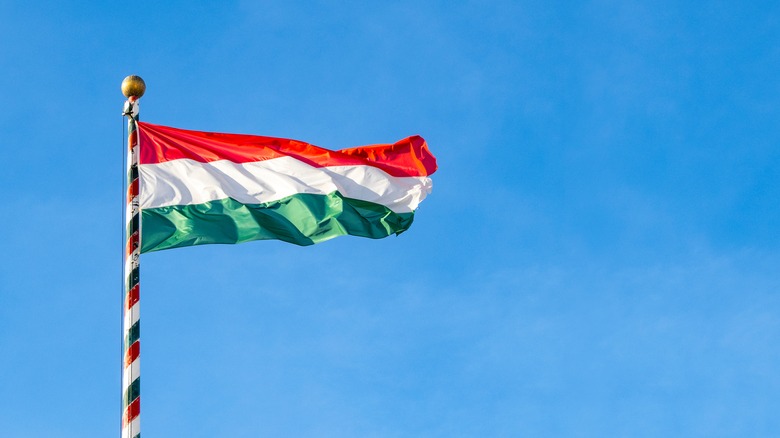 Hungarian flag flapping on pole