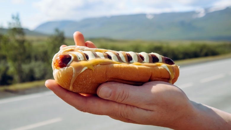 man holding Icelandic hot dog