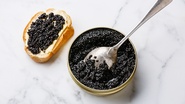 White sturgeon caviar spoonful toast