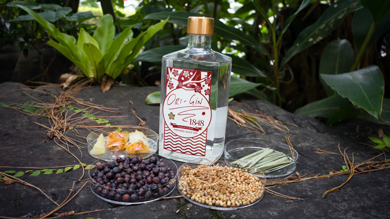 Japanese gin surrounded by ingredients