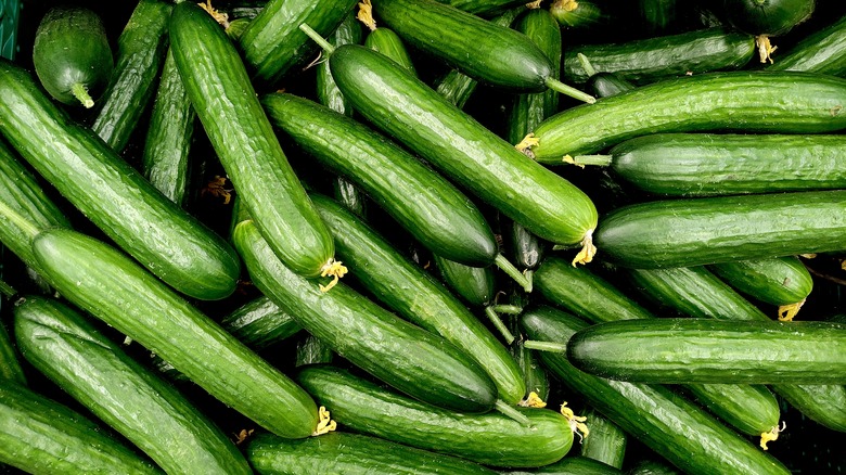 pile of cucumbers