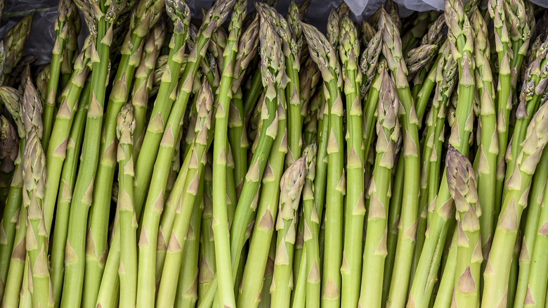 Closeups of asparagus spears