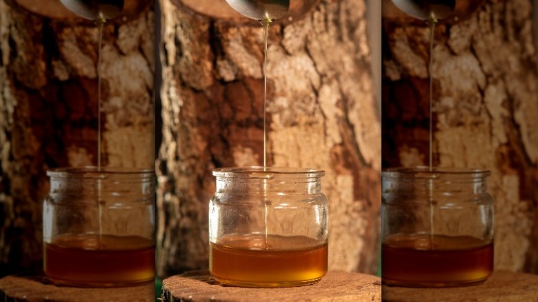 Melipona honey in jar