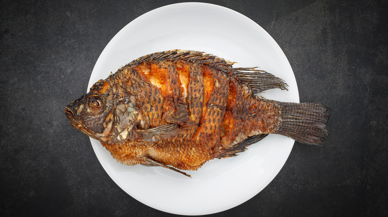 Fried Nile tilapia 