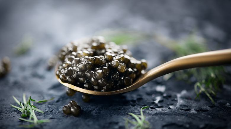 caviar on a spoon