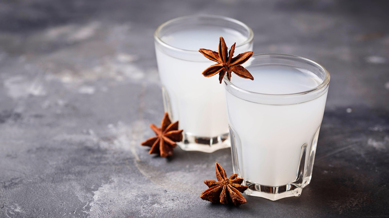 Ouzo with star anise