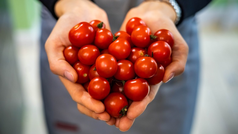 Cherry tomatoes in person's hands