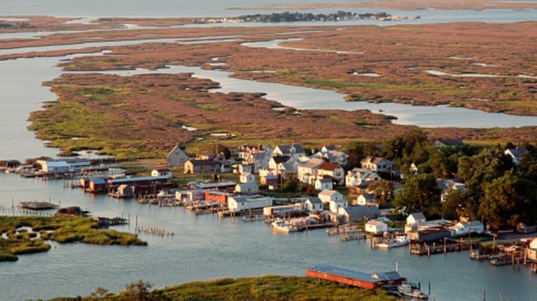 An aerial view of Smith Island and Chesapeake Bay