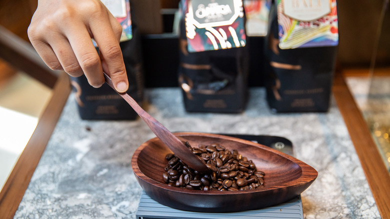 scooping coffee beans at Starbucks Dewata