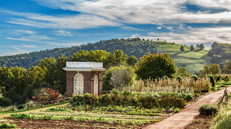 Veg garden at Monticello 