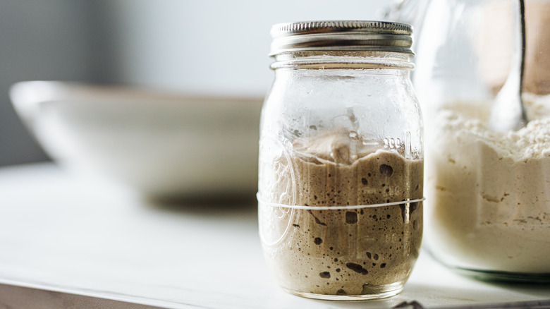 Sourdough starter and flour